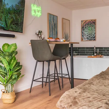 Nouveau - Jungle Romantique - Jacuzzi Appartement Schweighouse-sur-Moder